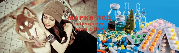 прущая мука Дмитриев