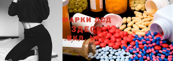 прущая мука Дмитриев