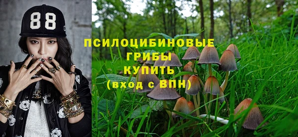 прущая мука Дмитриев