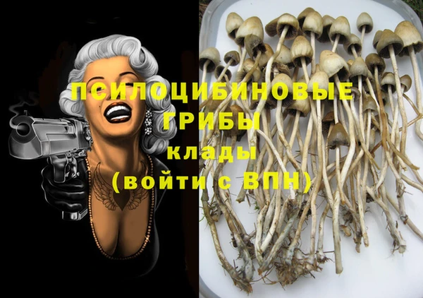прущая мука Дмитриев