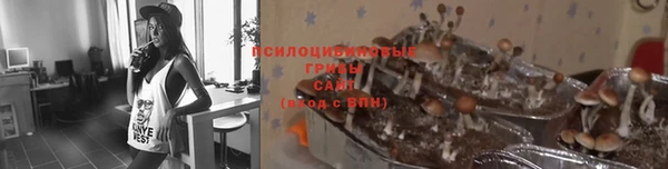 кокаин колумбия Дмитровск