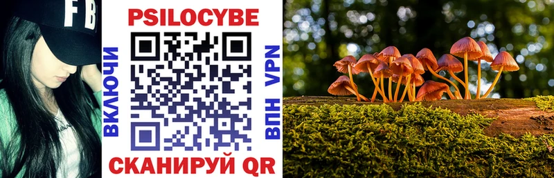 Галлюциногенные грибы прущие грибы  Купить  Егорьевск 
